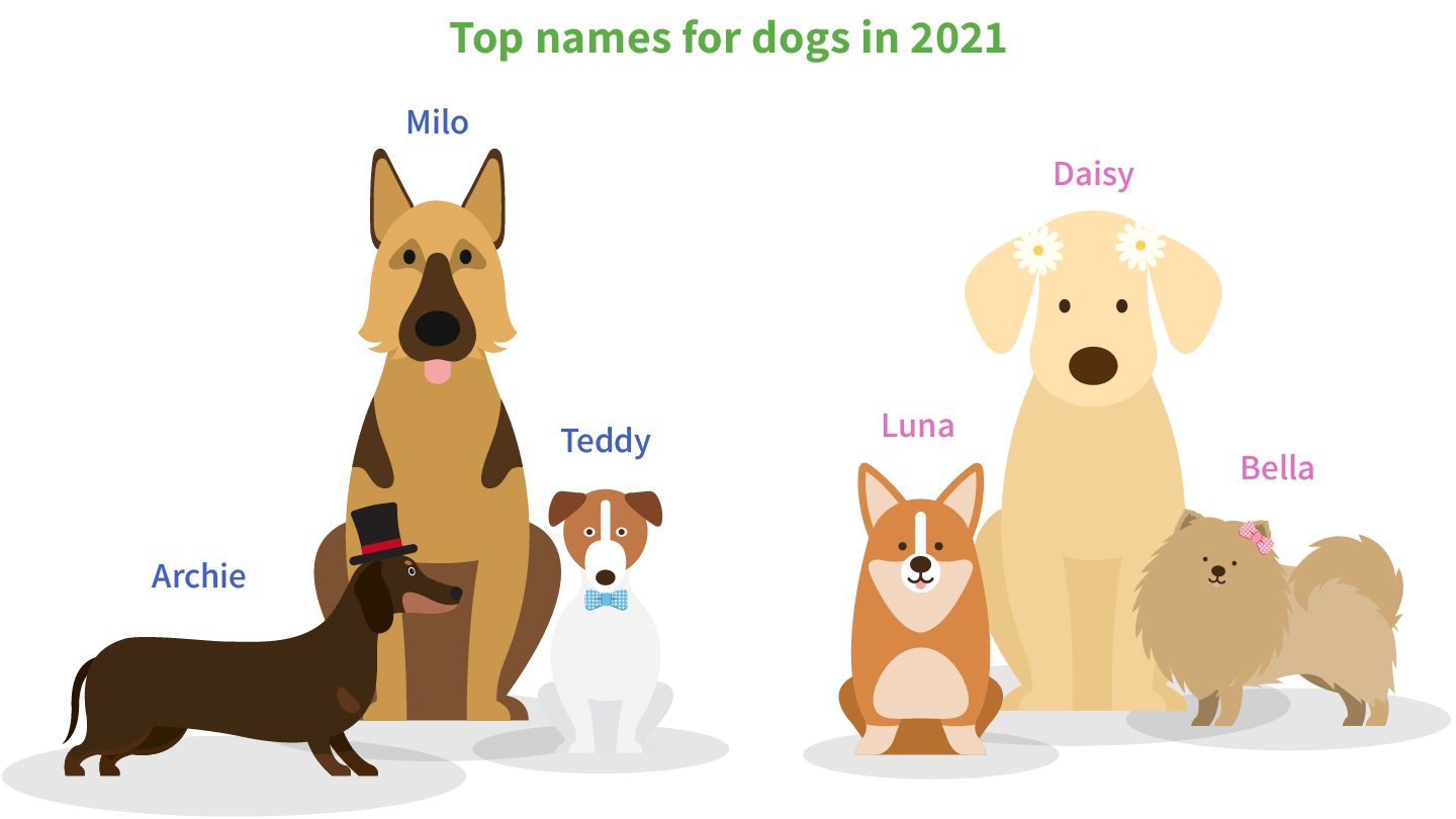 What are the most popular pet names of 2021? Pet Insurance Australia